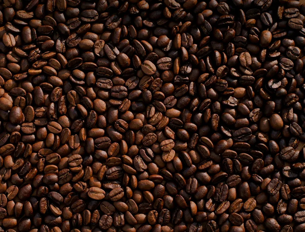 Caffè in grani
