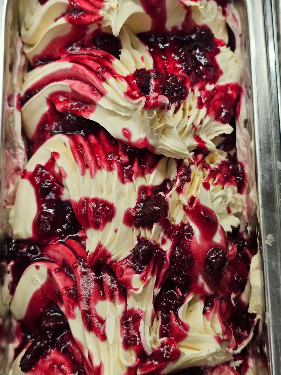 Panna Cotta gelato
